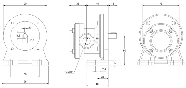 Zahnradflanschpumpe Amessungen D110