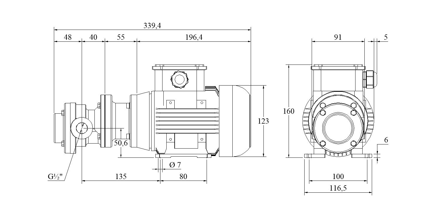 Abmessungen Edelstahl-Zahnradpumpen E/FLM 219