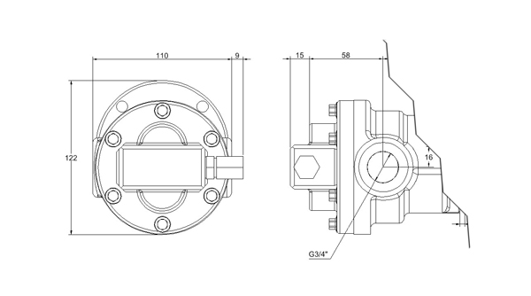 Zahnradflanschpumpe Abmessungen F310-F323 lange Welle