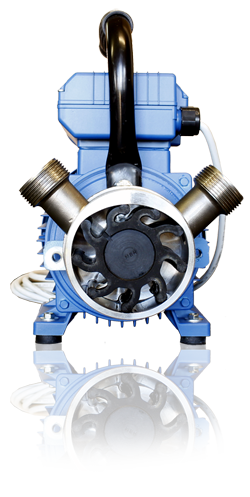 Self priming flexible impeller pump