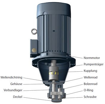Schnittzeichnung Elektro-Zahnradpumpe Baureihe FAM (Eintauchpumpe)