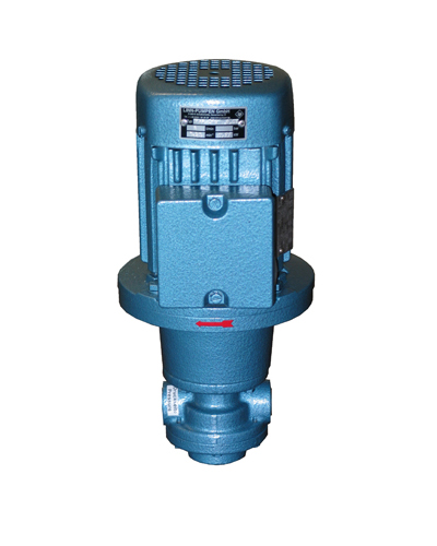 Electric Gear-Pumps for mounting in tanks by flange series FAM