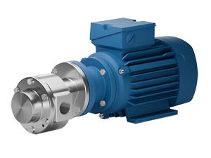 Edelstahl Zahnradpumpen mit Motor 2025
